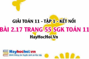 Giải bài 2.17 trang 55 Toán 11 tập 1 SGK Kết nối tri thức